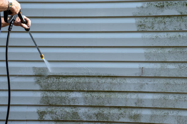 Best Stone Veneer Siding  in Kitty Hawk, NC