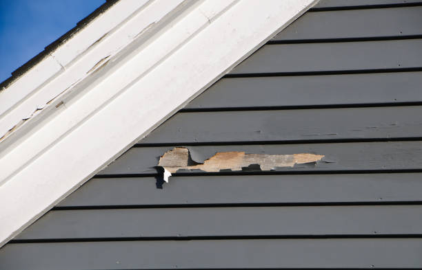 Best Historical Building Siding Restoration  in Kitty Hawk, NC