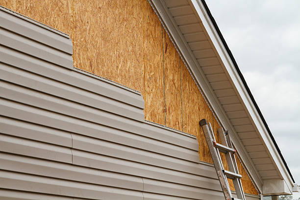 Best Storm Damage Siding Repair  in Kitty Hawk, NC